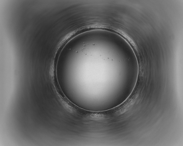 X0000116390437200912021543