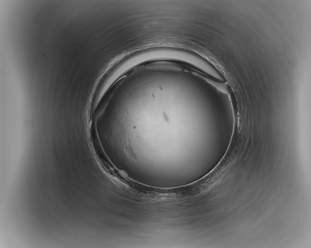 X0000116390438200912021543