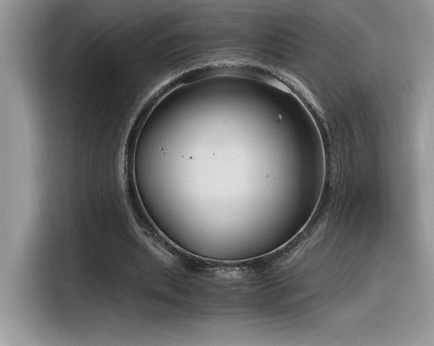 X0000116390439200912021543