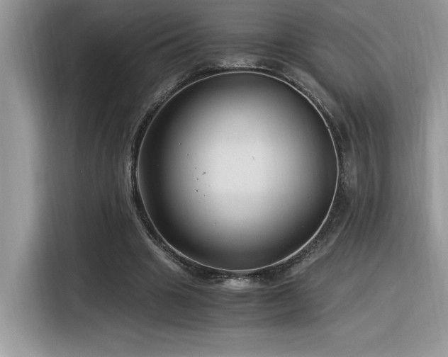 X0000116390441200912021543
