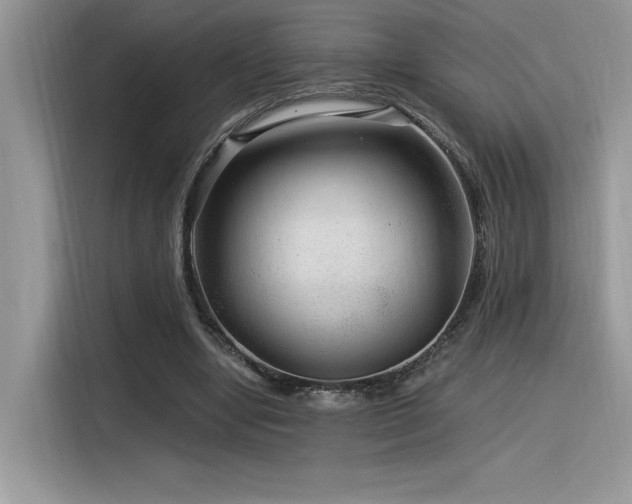 X0000116390442200912021543