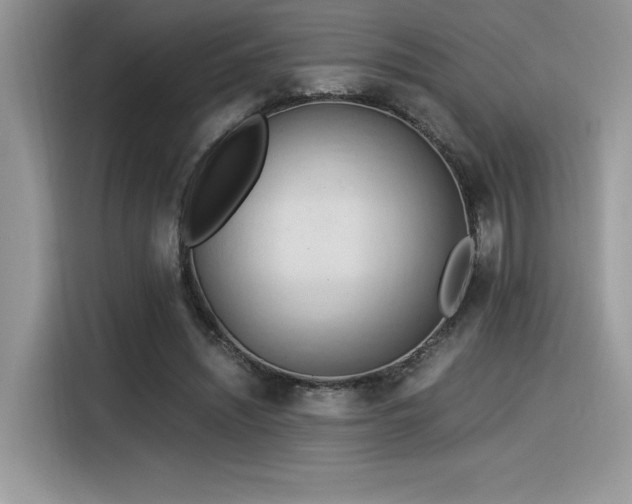 X0000116390444200912021543