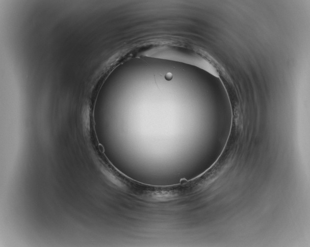 X0000116390445200912021543
