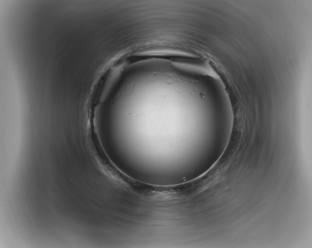 X0000116390446200912021543