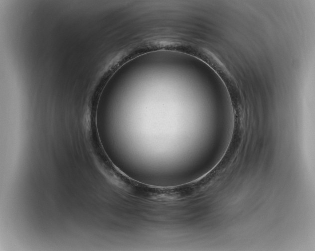 X0000116390447200912021543