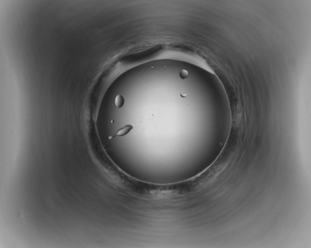 X0000116390448200912021543