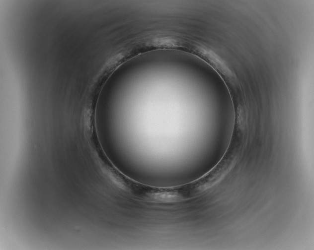 X0000116390449200912021543