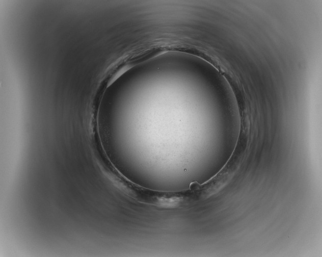 X0000116390450200912021543