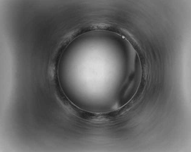 X0000116390451200912021543