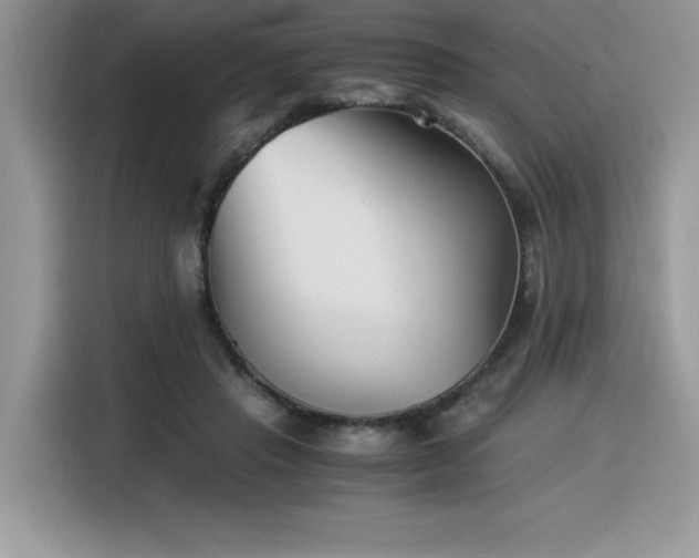 X0000116390453200912021543