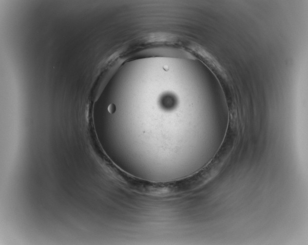 X0000116390454200912021543
