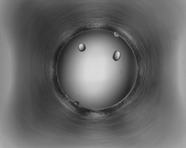 X0000116390455200912021543
