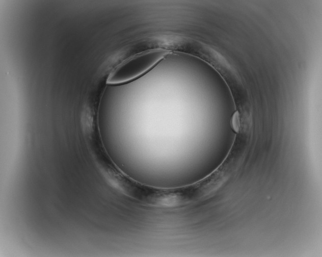X0000116390456200912021543
