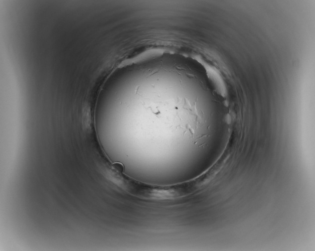 X0000116390457200912021543