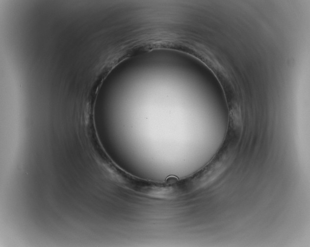 X0000116390458200912021543