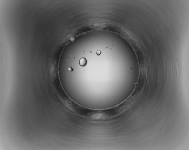X0000116390460200912021543