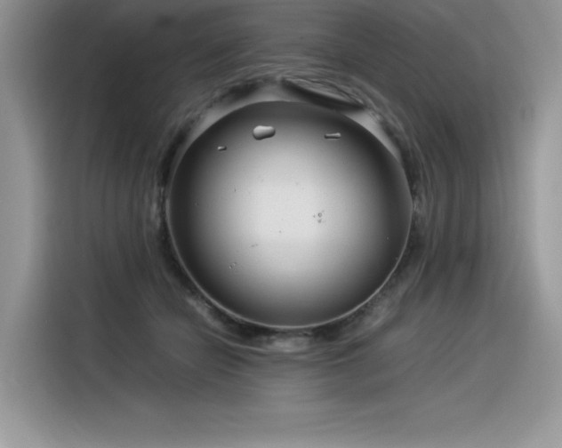 X0000116390462200912021543
