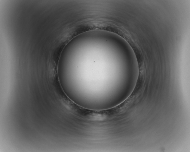 X0000116390464200912021543