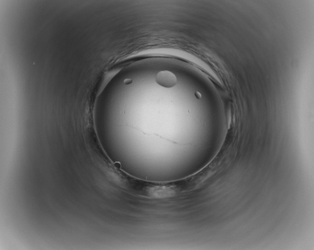 X0000116390465200912021543