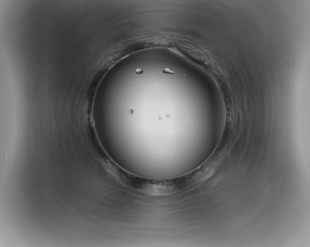 X0000116390466200912021543