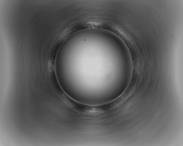 X0000116390467200912021543
