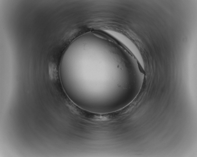 X0000116390469200912021543