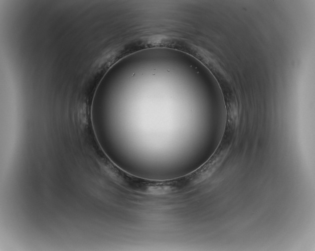 X0000116390470200912021543