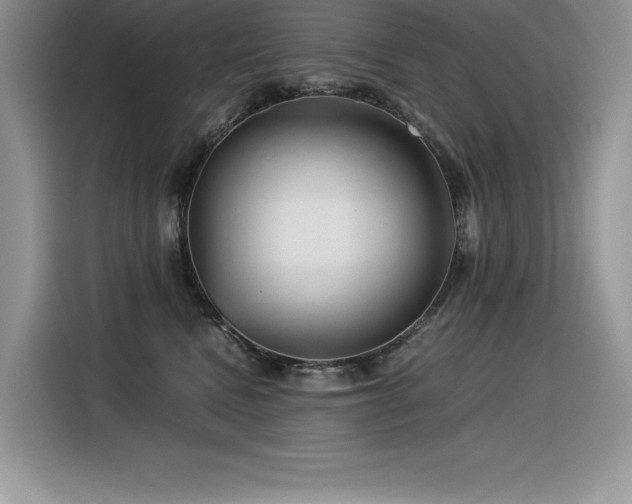 X0000116390472200912021543