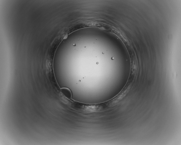 X0000116390473200912021543