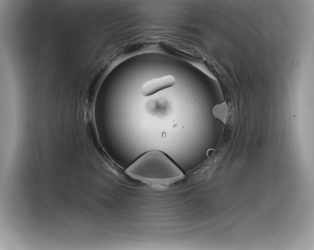 X0000116390474200912021543