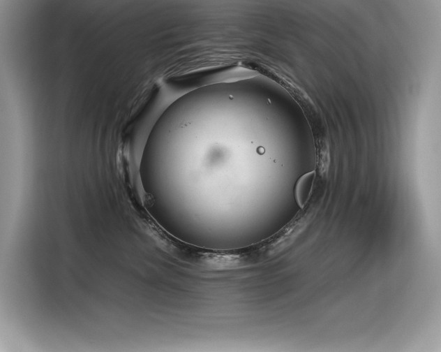 X0000116390476200912021543