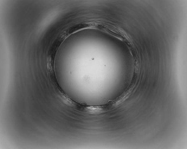 X0000116390477200912021543