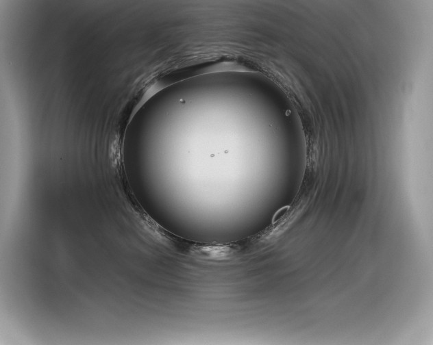 X0000116390478200912021543