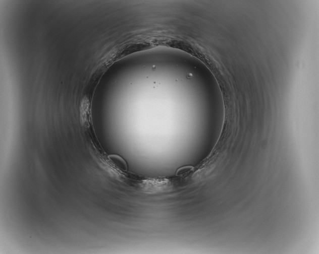 X0000116390480200912021543