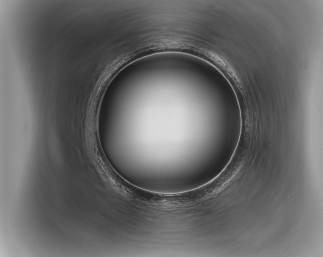 X0000116390481200912021543