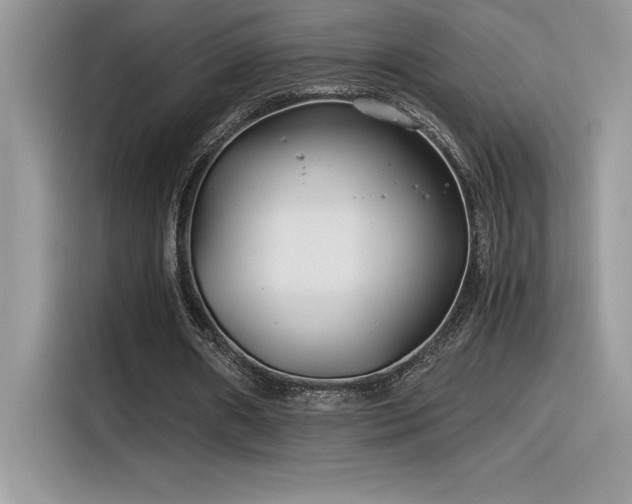 X0000116390482200912021543