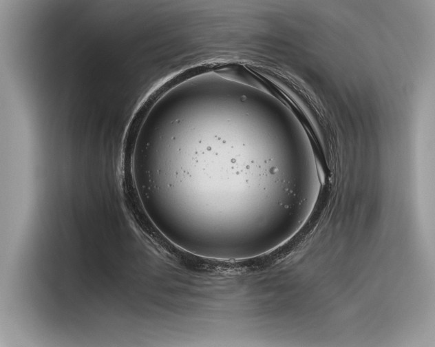 X0000116390484200912021543