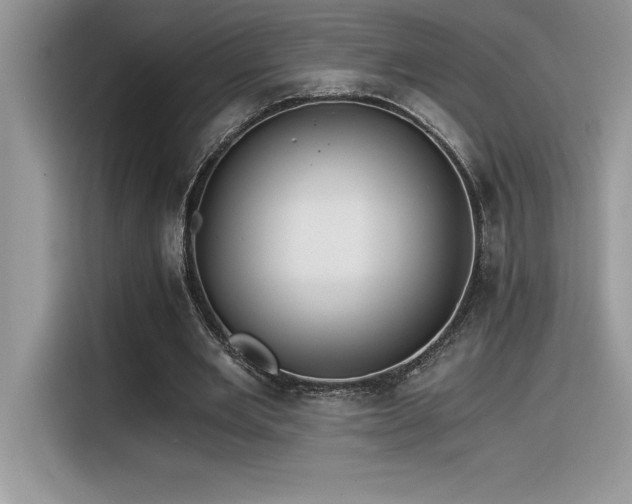 X0000116390485200912021543