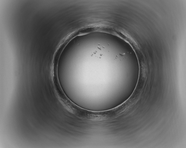 X0000116390486200912021543
