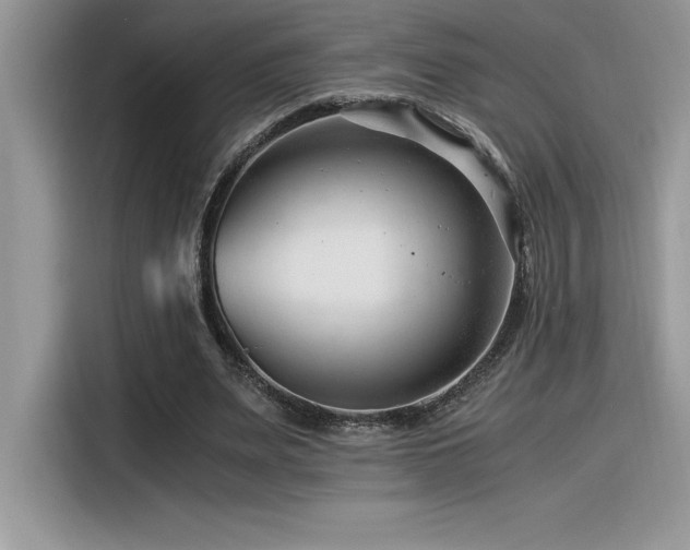 X0000116390487200912021542
