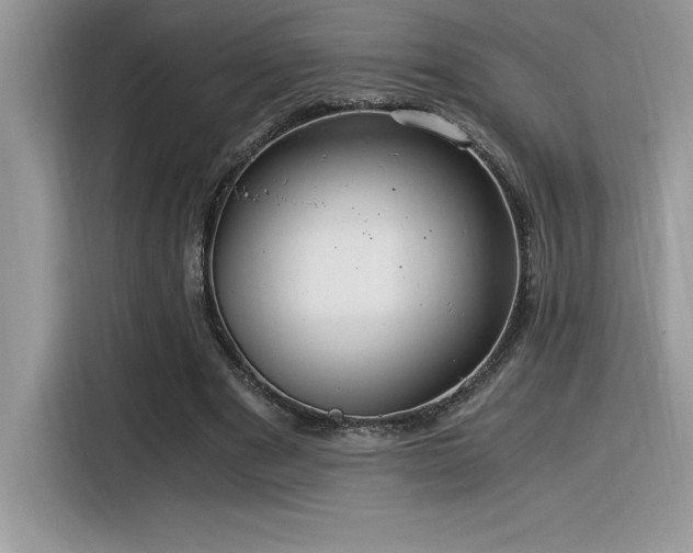 X0000116390489200912021542