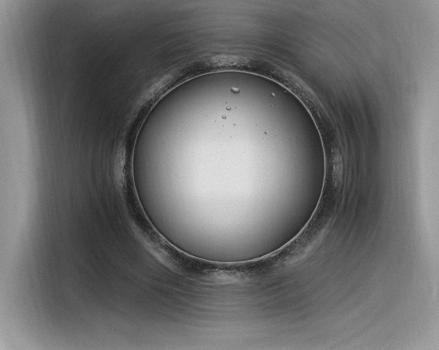 X0000116390490200912021542