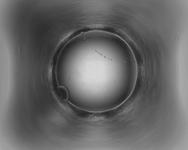 X0000116390491200912021542