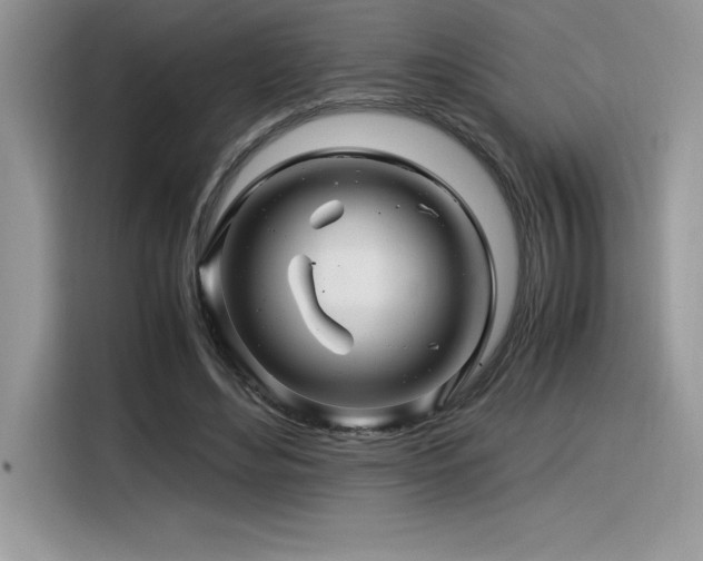 X0000116390492200912021542