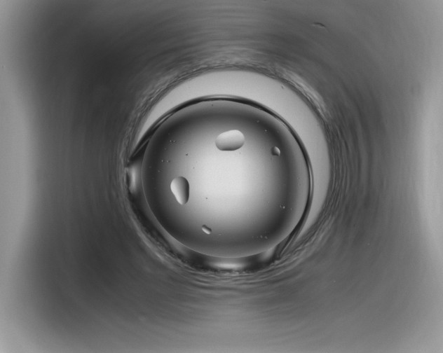 X0000116390493200912021542
