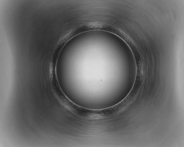 X0000116390494200912021542