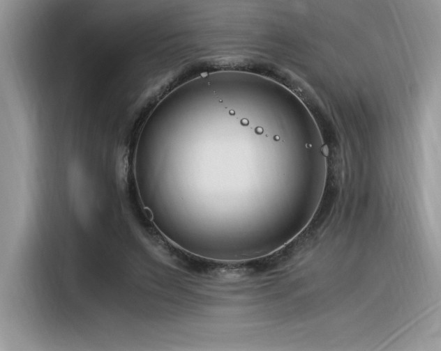 X0000116390495200912021542