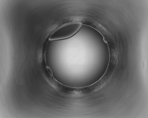 X0000116390496200912021542