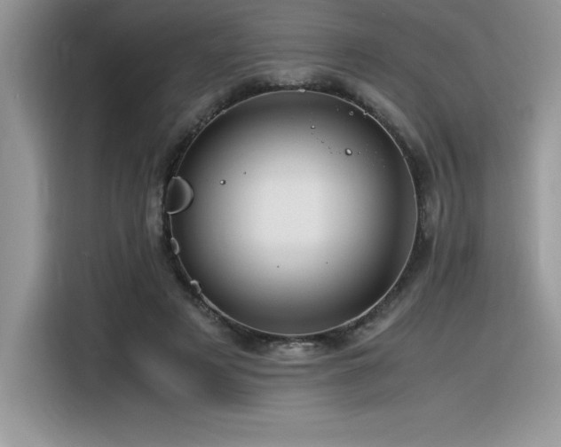 X0000116390497200912021542