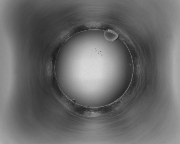 X0000116390498200912021542